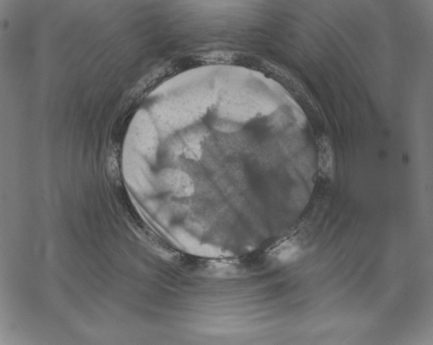 X0000067840573200605111646