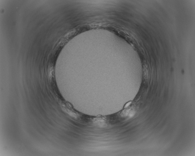 X0000067840574200605111646