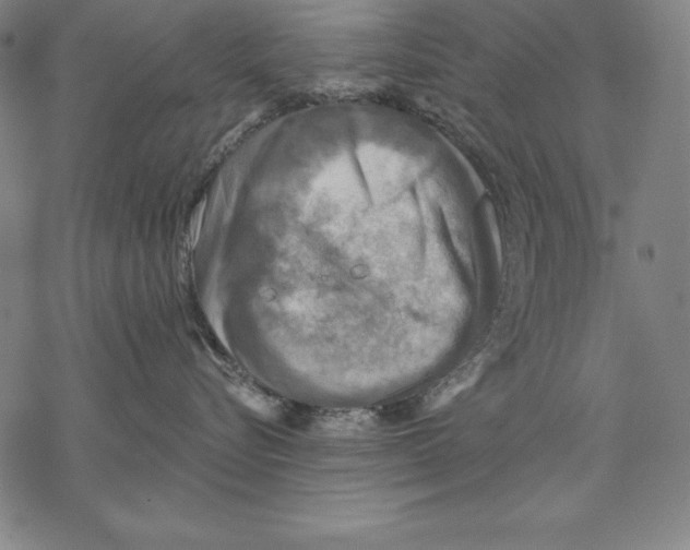 X0000067840576200605111646