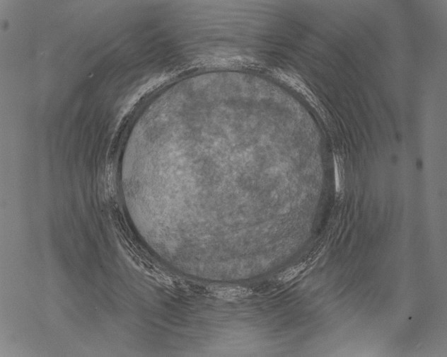 X0000067840579200605111645