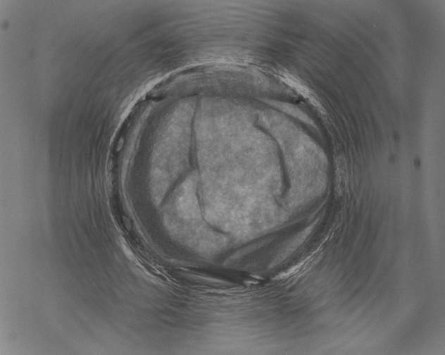 X0000067840580200605111645