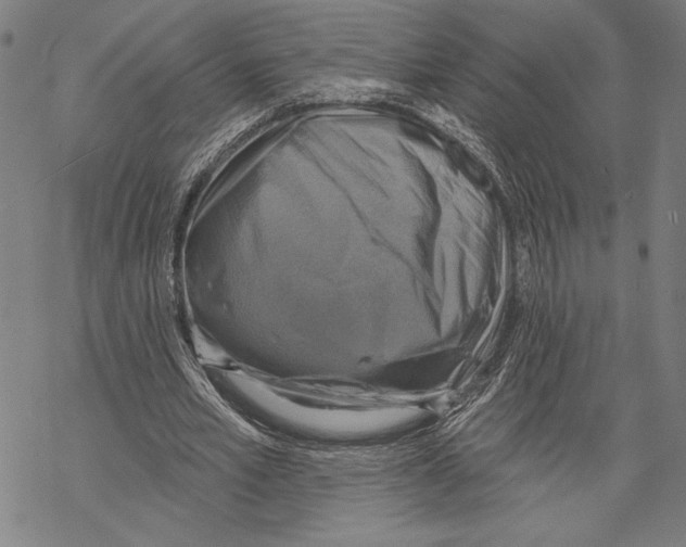 X0000067840581200605111645