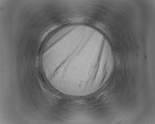 X0000067840583200605111645