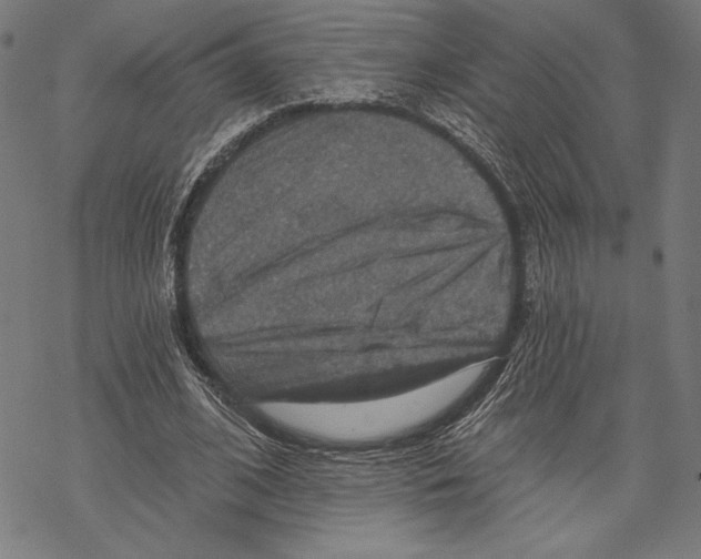 X0000067840584200605111645