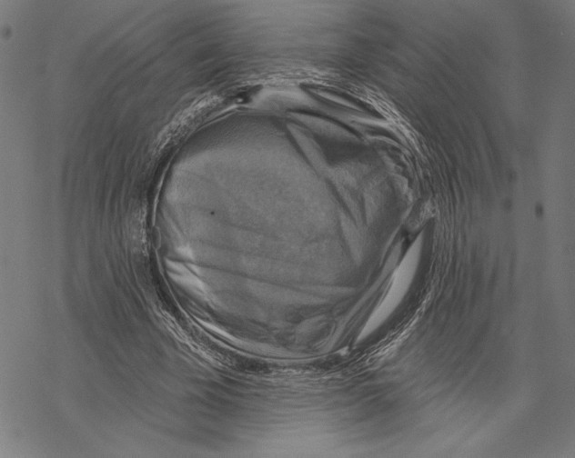 X0000067840585200605111645