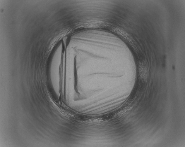 X0000067840586200605111645