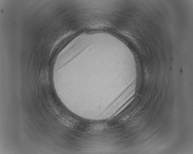 X0000067840587200605111645