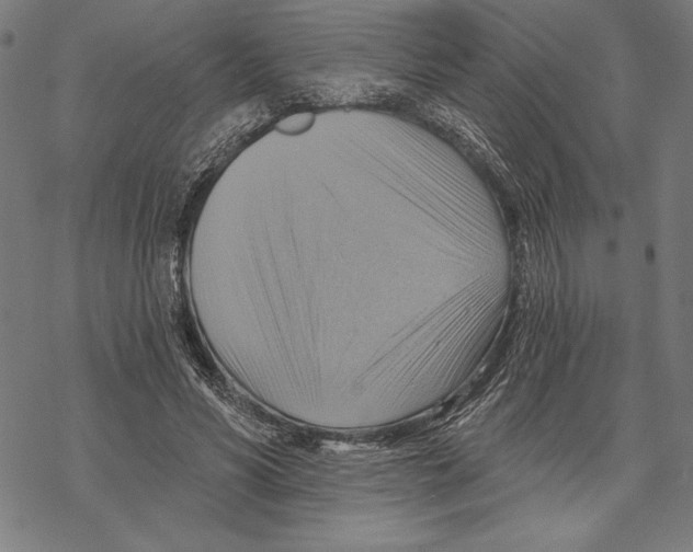 X0000067840590200605111645