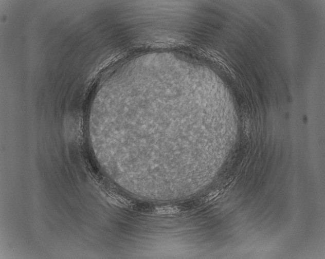 X0000067840591200605111645