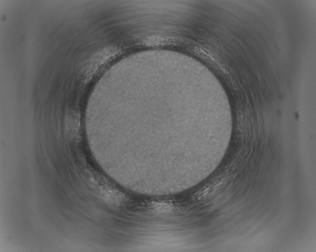 X0000067840592200605111645