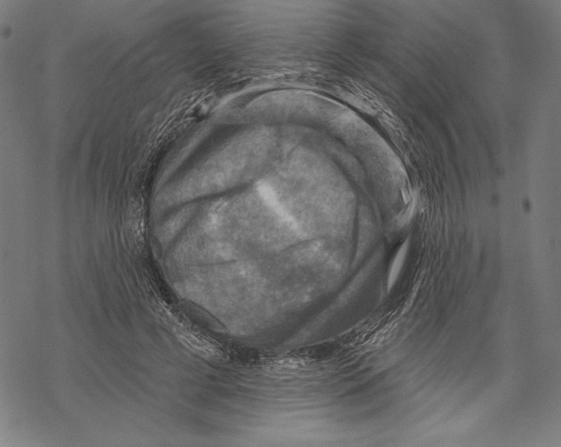 X0000067840593200605111645