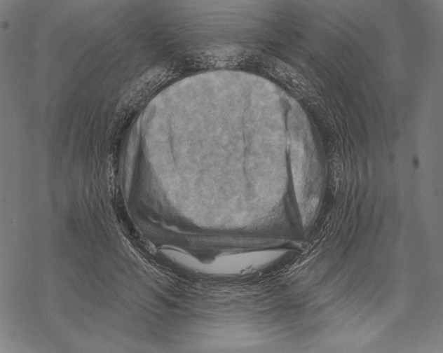 X0000067840594200605111645