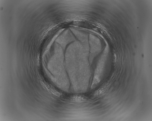 X0000067840596200605111644