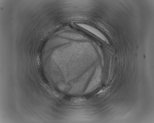 X0000067840597200605111644