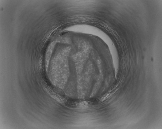 X0000067840600200605111644