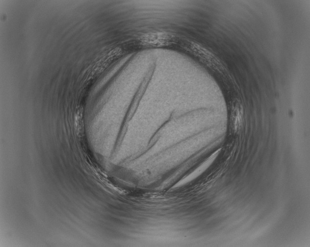 X0000067840601200605111644