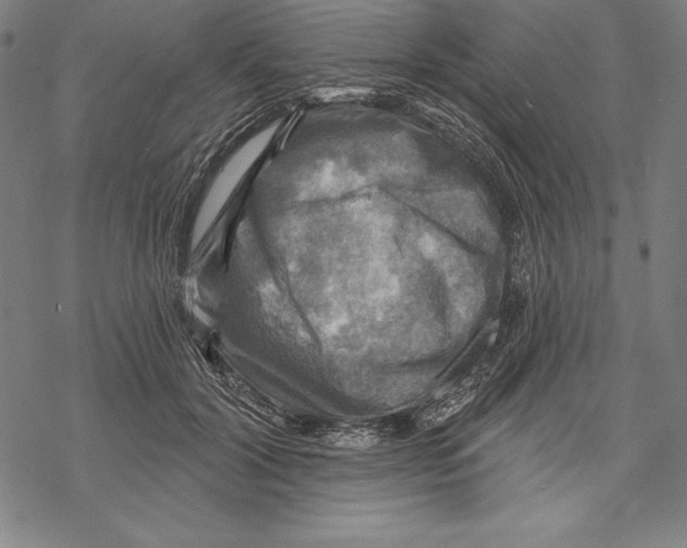 X0000067840604200605111644