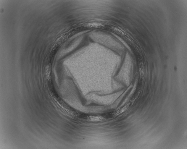 X0000067840605200605111644