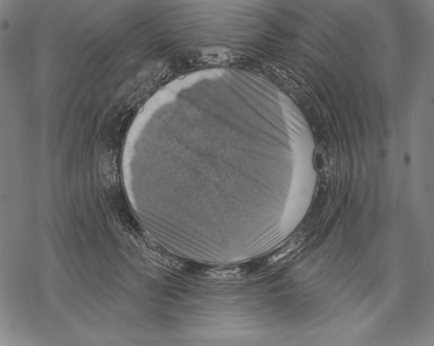 X0000067840606200605111644