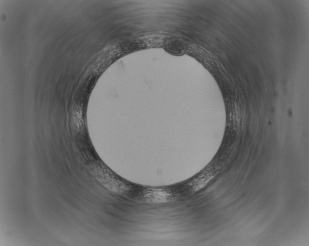 X0000067840610200605111644