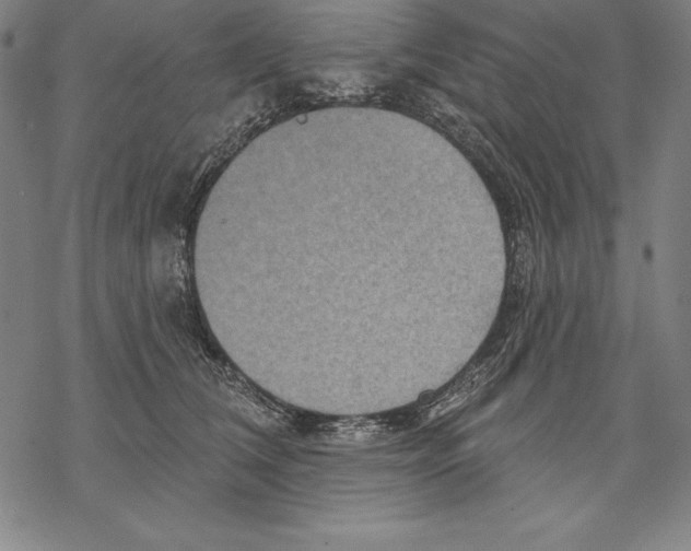 X0000067840612200605111644