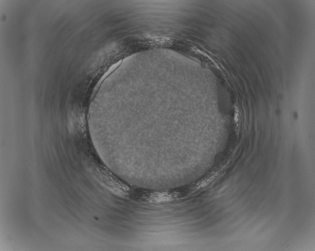 X0000067840613200605111644