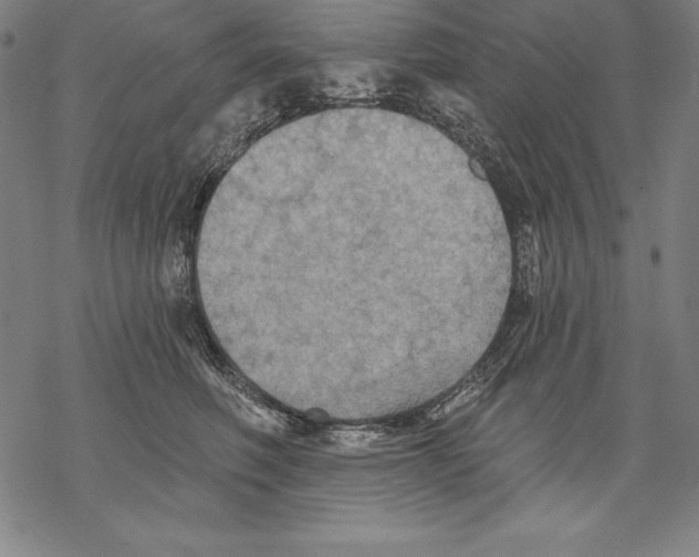 X0000067840614200605111644