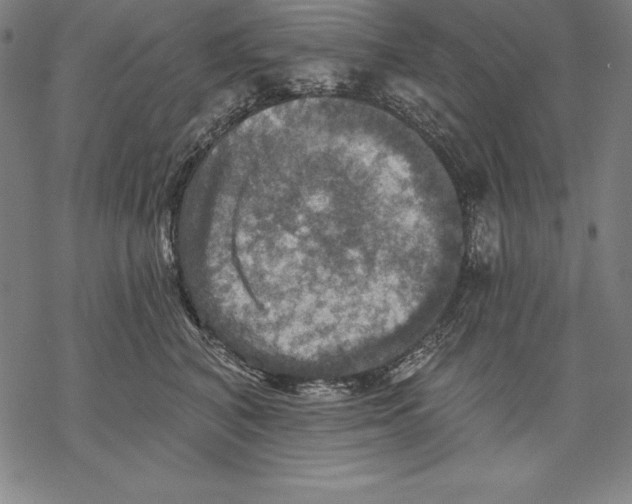 X0000067840616200605111644