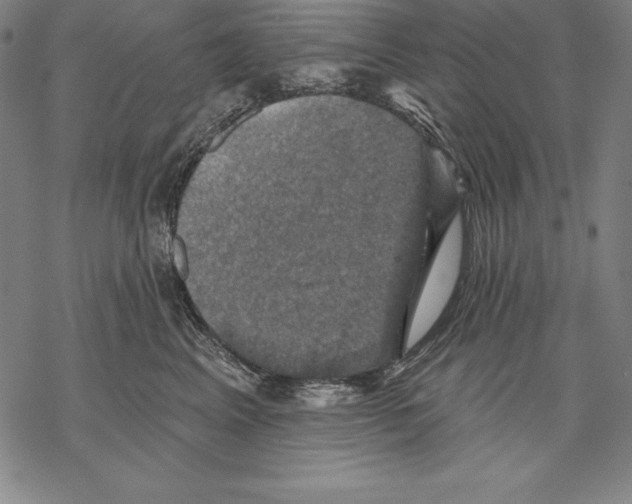 X0000067840617200605111644