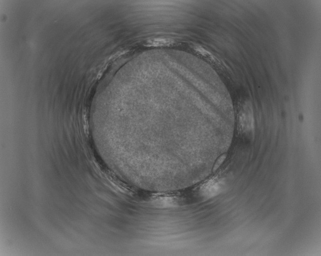 X0000067840620200605111644