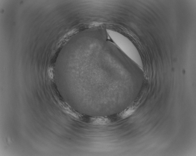 X0000067840621200605111644