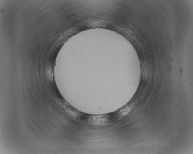 X0000067840622200605111644