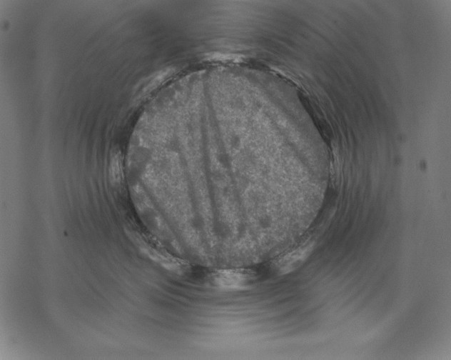 X0000067840623200605111644