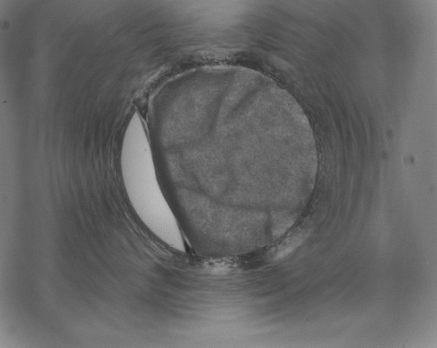 X0000067840624200605111644