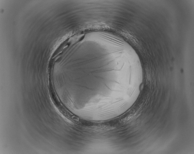 X0000067840630200605111643