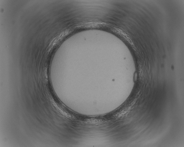 X0000067840633200605111643