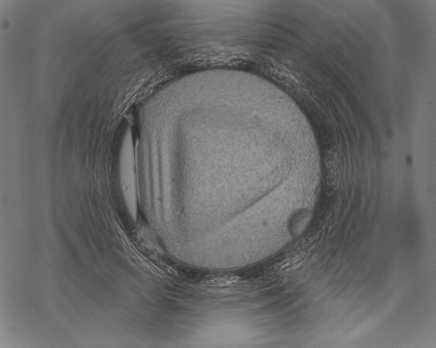 X0000067840642200605111644