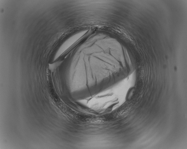 X0000067840643200605111644