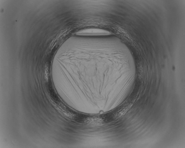 X0000067840644200605111644