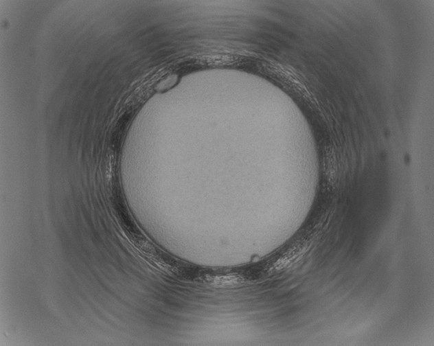 X0000067840645200605111644