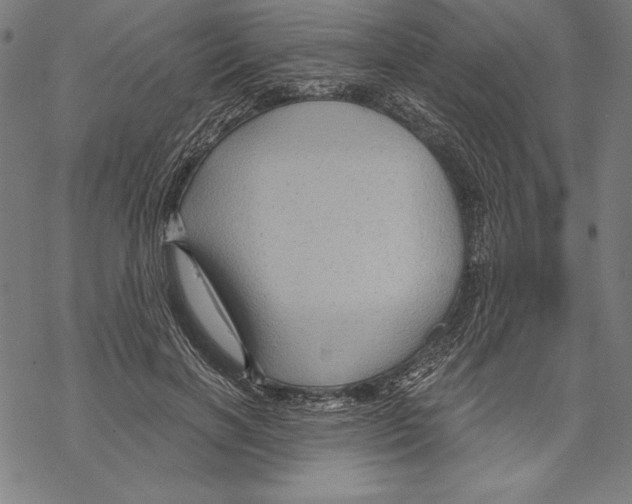 X0000067840646200605111644