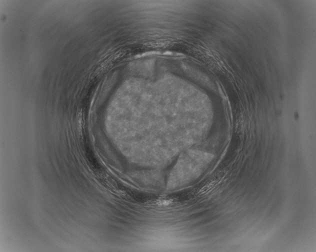 X0000067840647200605111644