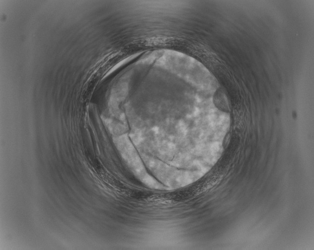 X0000067840648200605111644