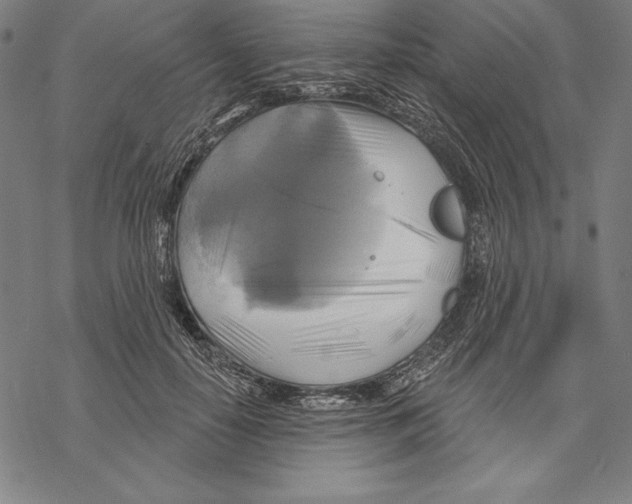 X0000067840650200605111644