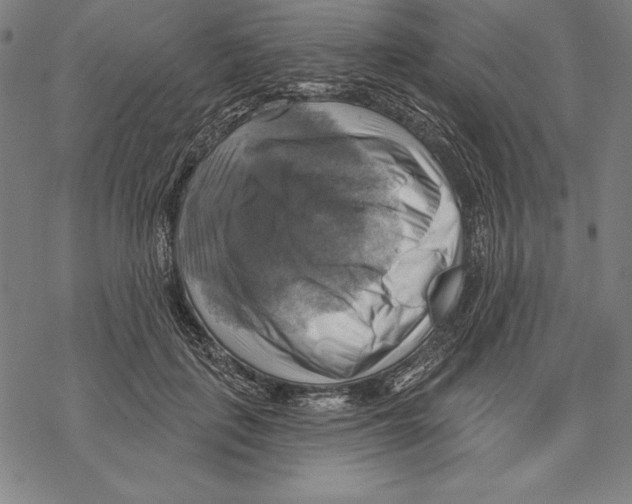 X0000067840651200605111644