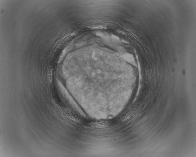 X0000067840652200605111644