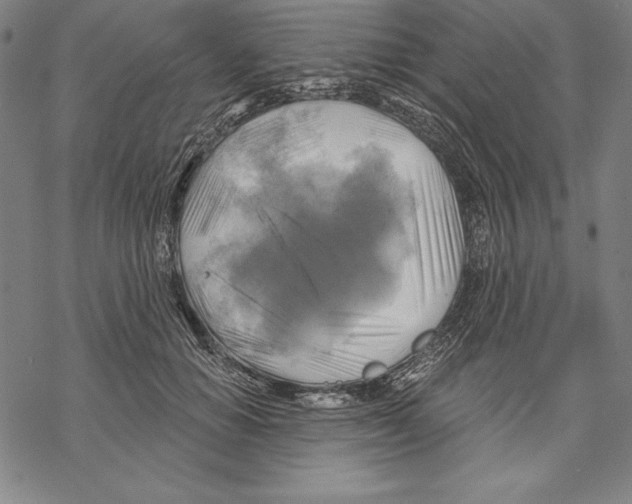 X0000067840654200605111644