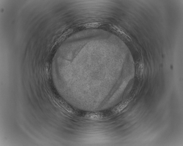 X0000067840655200605111644