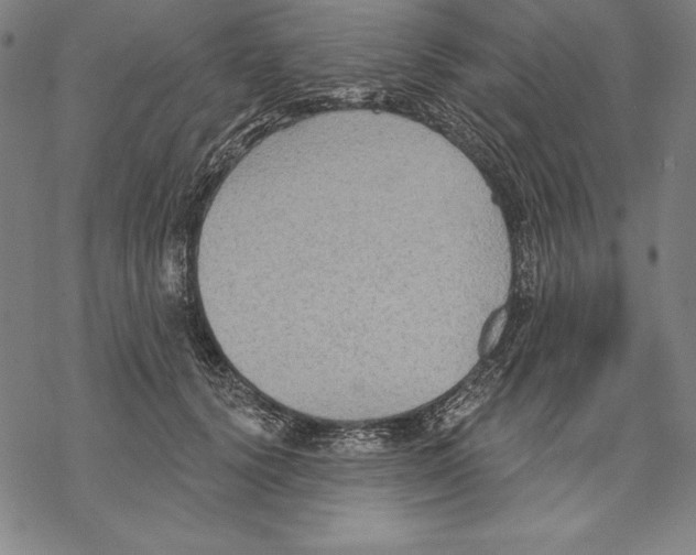 X0000067840656200605111644