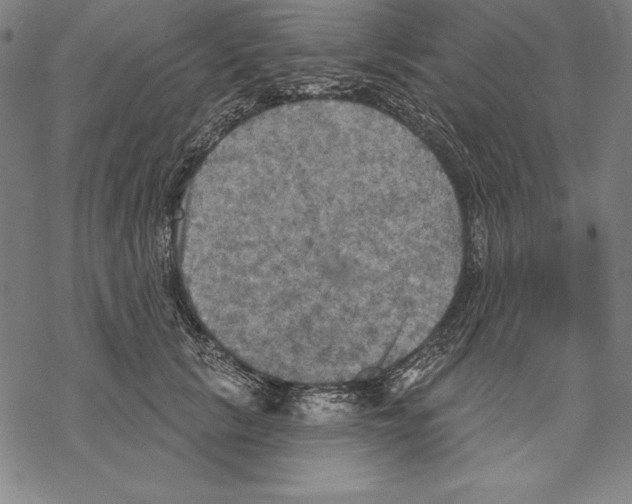 X0000067840657200605111644